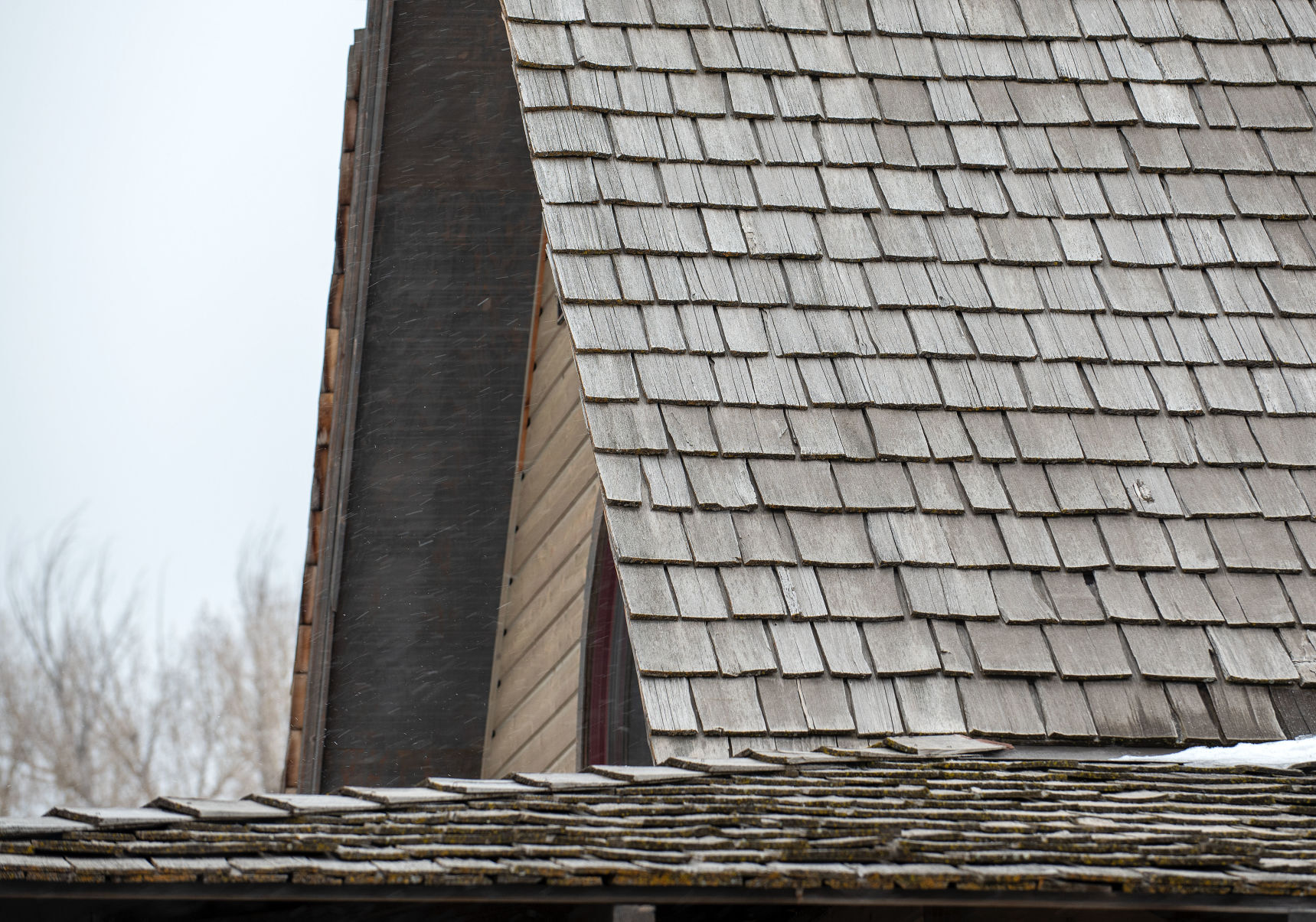 Commissioners Ban shake shingle roof